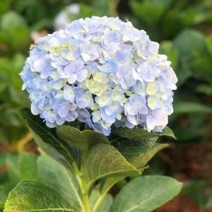 Meet your Posher, Nina